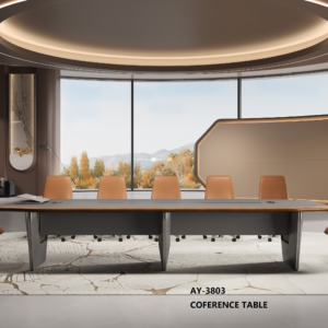 CEO SPACE